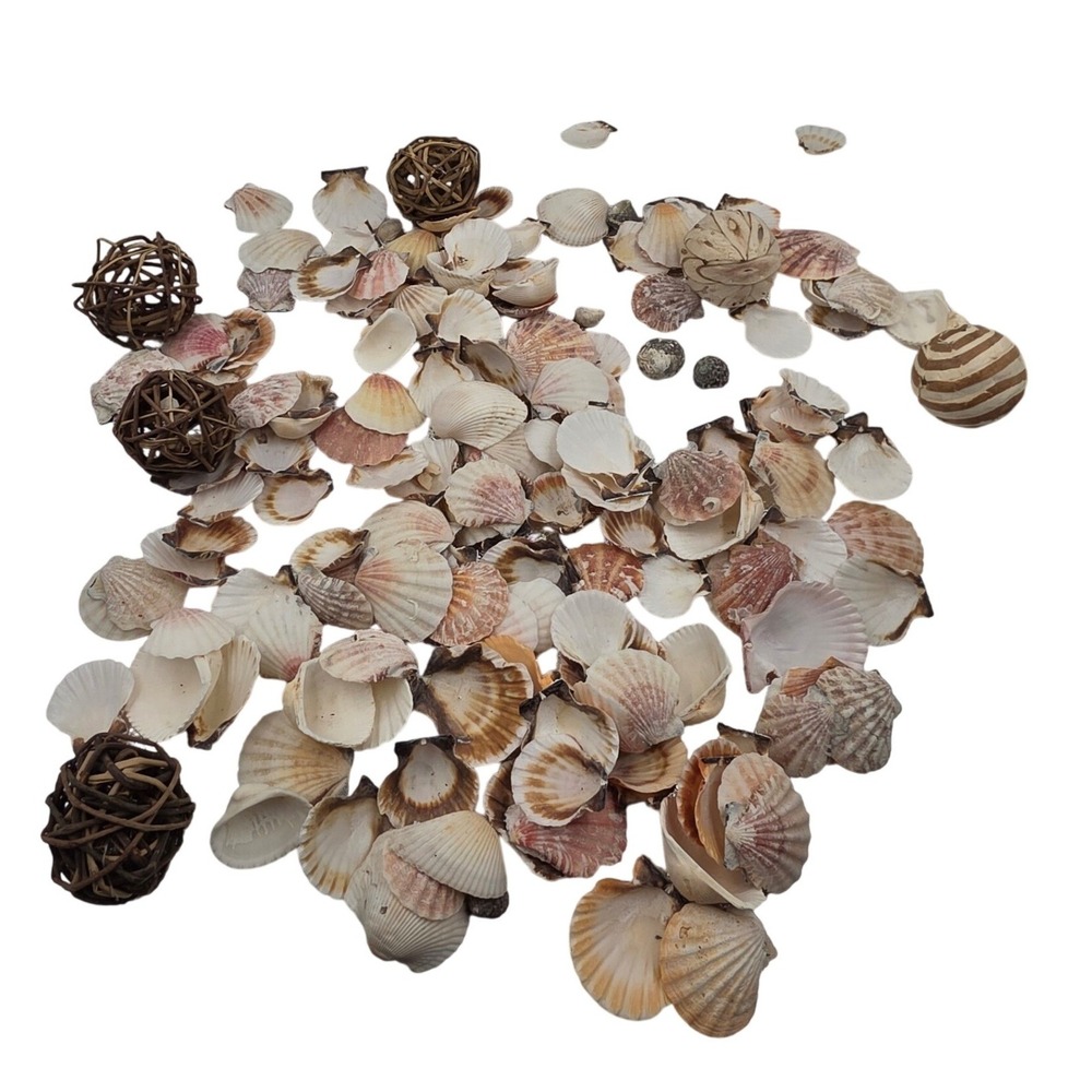 Natural Sea Shells and Wicker Orbs Lot Scallop Shells Coastal Decor‎ Vase O1